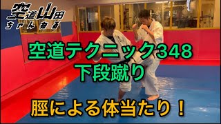 【武道】空道テクニック348「下段蹴り」【格闘技】