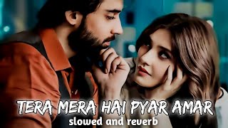 Ishq Murshid Drama Song | New Slowed and Reverb Song