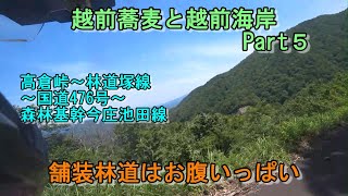 No.729　越前蕎麦と越前海岸　Part５　高倉峠～林道塚線～国道476号～森林基幹今庄池田線　セロー