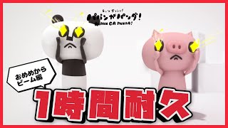 【新作】パパンがパンダ1時間耐久！おめめからビーム篇【パパンがパンダ】