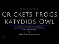 Black Screen 10 Hours - Crickets - Frogs - Katydids - Owl - Cricket Sounds for Sleeping