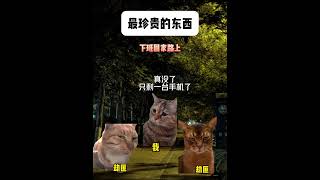 把你身上最珍贵的东西交出来! #有趣 #故事 #貓 #猫猫meme小剧场 #猫meme #内容过于真实 #猫meme小剧场 #猫meme剧场 #喵不可言 #shorts