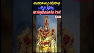 తిరుమలలో తప్పక వీక్షించాల్సిన అద్భుత క్రతువు వసంతోత్సవాలు గురించి మీకు తెలుసా? | OM CVR SPIRITUAL