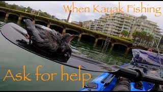 Lure Fishing | Kayak Fishing | Sydney Harbour Fishing