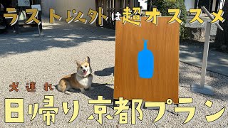 【犬と日帰り旅行】ラスト以外はオススメしたい京都日帰りプラン