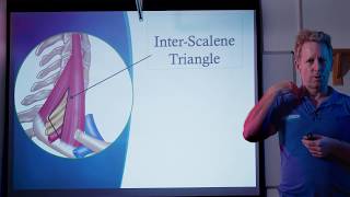 What is TOS - Thoracic Outlet Syndrome - Causes of compression to Brachial plexus \u0026 Artery