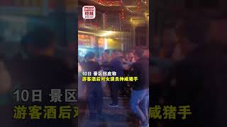 张家界景区一游客骚扰女演员还殴打保安