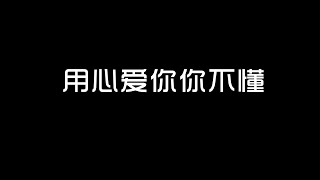 2024抖音伤心情歌 用心爱你你不懂（动态歌词 无损音质）