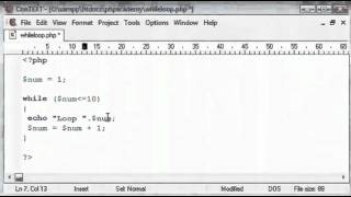 PHP Loops While Statement English