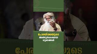 പേരയ്ക്കയുടെ അത്ഭുതകരമായ ഗുണങ്ങൾ | SadhguruMalayalam