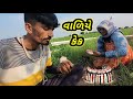 આજ વાળિયે કેક પાર્ટી || Village life