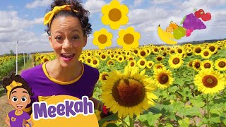 Southern Hill Farms | Meekah | Learning Videos For Kids | @MeekahEducationalVideosforKids