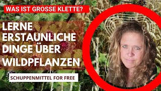 Was ist die große Klette?- lerne Erstaunliches und Wissenswertes über Wildpflanzen und Heilplfanzen