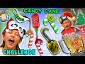 HOLIDAY CANDYCANES FLAVOR CHALLENGE! Smoothie Mix FUNnel Vision Taste Test Fun