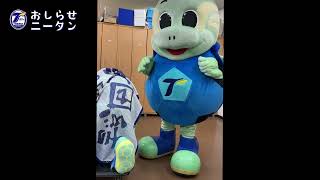 特大ニータン完成！大分トリニータ一致団結プロジェクト返礼品  /トリニータチャンネル Trinita Channel【公式】