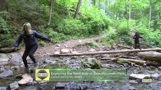 Trail Team 11: Visiting Waterfalls on The Laurel Run Trail into Bays Mountain