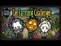 How Many Crops Can We Grow Before Winter? [Don't Starve Together]