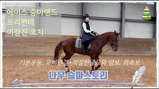 [승마] 안산 에이스 승마랜드 - 이강진코치/프리짠테/기본운동/연결과포지션/속보/좌속보/원운동