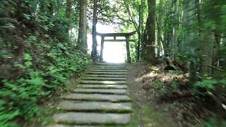 志布志への帰省2020  白鳥神社なう