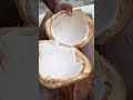 Fresh Coconut water #shorts #asmr