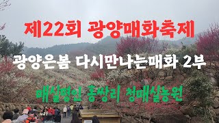 광양은봄 다시만나는매화 2부/홍쌍리매실가 청매실농원/제22회 광양매화축제