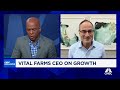 vital farms ceo on avian flu egg prices and growth