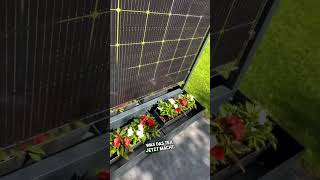 🌱Die #1 Innovation für deinen Garten: Solar Blumenkübel MATILDA 3.0 🌺⚡️