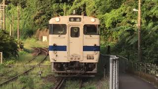 【指宿枕崎線キハ40系】山川駅到着