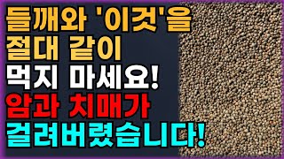 들깨와 상극인 음식 TOP 3! 절대 같이 섭취하시면 안됩니다!! 건강한 노년기 위해 먹는 들깨! 꼭 이렇게 드세요. 암과 치매 예방할 수 있습니다!