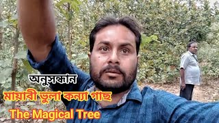 রহস্যময় ভুলা কন্যা ভেষজ উদ্ভিদের সন্ধানে গভীর জঙ্গলে দারুণ রোমাঞ্চকর অভিজ্ঞতা হলো আজ