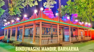 Binduwasini Mandir, Barharwa ||Sahibganj ||Night View|| Natural Vlogger||#barharwa#binduwasinimandir