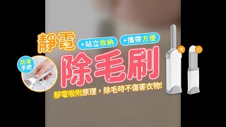 靜電除毛刷