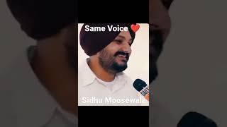Same Copy Of Sidhu Moose Wala 🧐 |#sidhumoosewala #viral #trending #funny #sidhu #shorts #copy