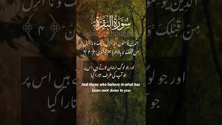 Al Quraan | Urdu Translation | #urdutranslation #quran #ytshorts # best quran recitation #islamic