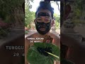 Siamtafa Masker Wajah Naturgo Hanasui Ecer