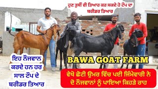 ਬਾਪੂ ਤੋਂ ਸਿੱਖ ਕੇ ਤਿਆਰ ਕੀਤੇ ਟੌਪ ਕਵਾਲਿਟੀ ਬਰੀਡਰ - Top Quality Beetal Breeders - Bawa Goat Farm Gosal