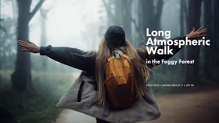 Memory 260. Atmospheric vlog in the foggy forest. (Sony FX30 with Laowa lens)