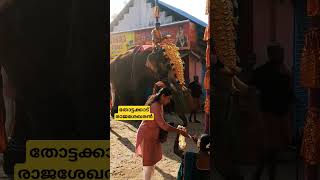 അവൻ്റെ മാസ്സ് ENTRY അല്ലെ? #gajakesari #aanakeralam #elephant #aana #aanakambam #aanapremi