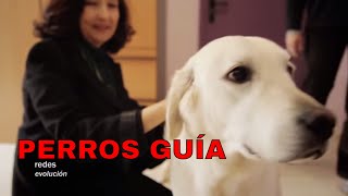 Los perros guía - ELSA PUNSET