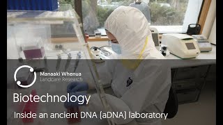Biotechnology: Inside an ancient DNA (aDNA) laboratory
