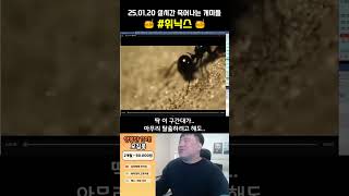 [📺 라이브 주식방송] #위닉스 개미 지옥