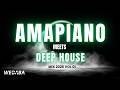 AMAPIANO meets DEEP HOUSE MIX 2026 VOL01 | Dj Webaba