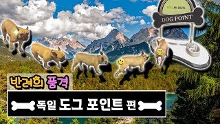 반려의 품격 7화 : 독일 도그포인트