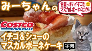 【字幕付き】コストコのデザートの新商品！イチゴ＆シューのマスカルポーネケーキの紹介です！甘酸っぱいイチゴとコクのあるマスカルポーネのコントラストが甘さ控えめで美味しいケーキでした！