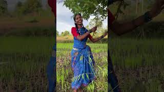 Harali Tihar #cgviral #cgsong #cg #cgshorts #cgtrendingsong #ytshorts