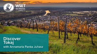 Discover Tokaj with Annamaria Panka Juhasz