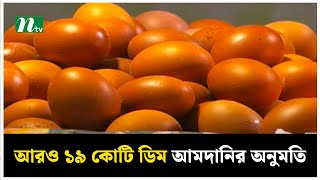 আরও ১৯ কোটি ডিম আমদানির অনুমতি | NTV News