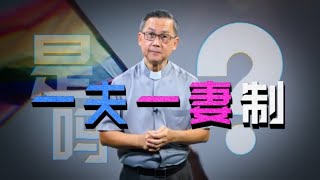 Link Building | 同性恋不会破坏一夫一妻制吗？| 22-0619