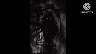 Get It Open / Moths (looped)
