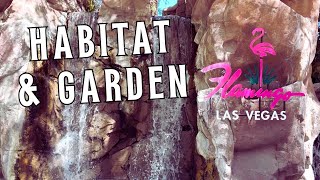 Secret Paradise Wildlife Habitat: The Hidden Oasis at Flamingo Las Vegas!